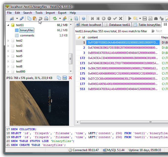 HeidiSQL screenshot: BLOBs can contain various file formats. HeidiSQL displays JPEG, PNG, GIF, BMP, PSD and some more image formats in a quick preview box.